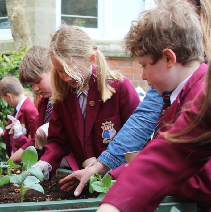 News » Junior 2 Get Green Fingered